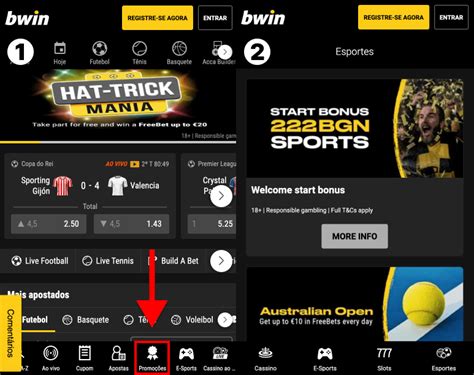 bet bwin login|bwin Bonus .